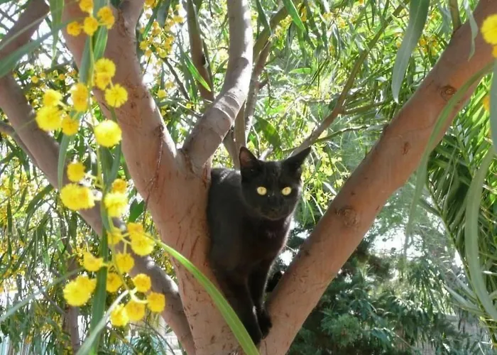 La Perla 22 By Interhome Holiday home Marina di Modica